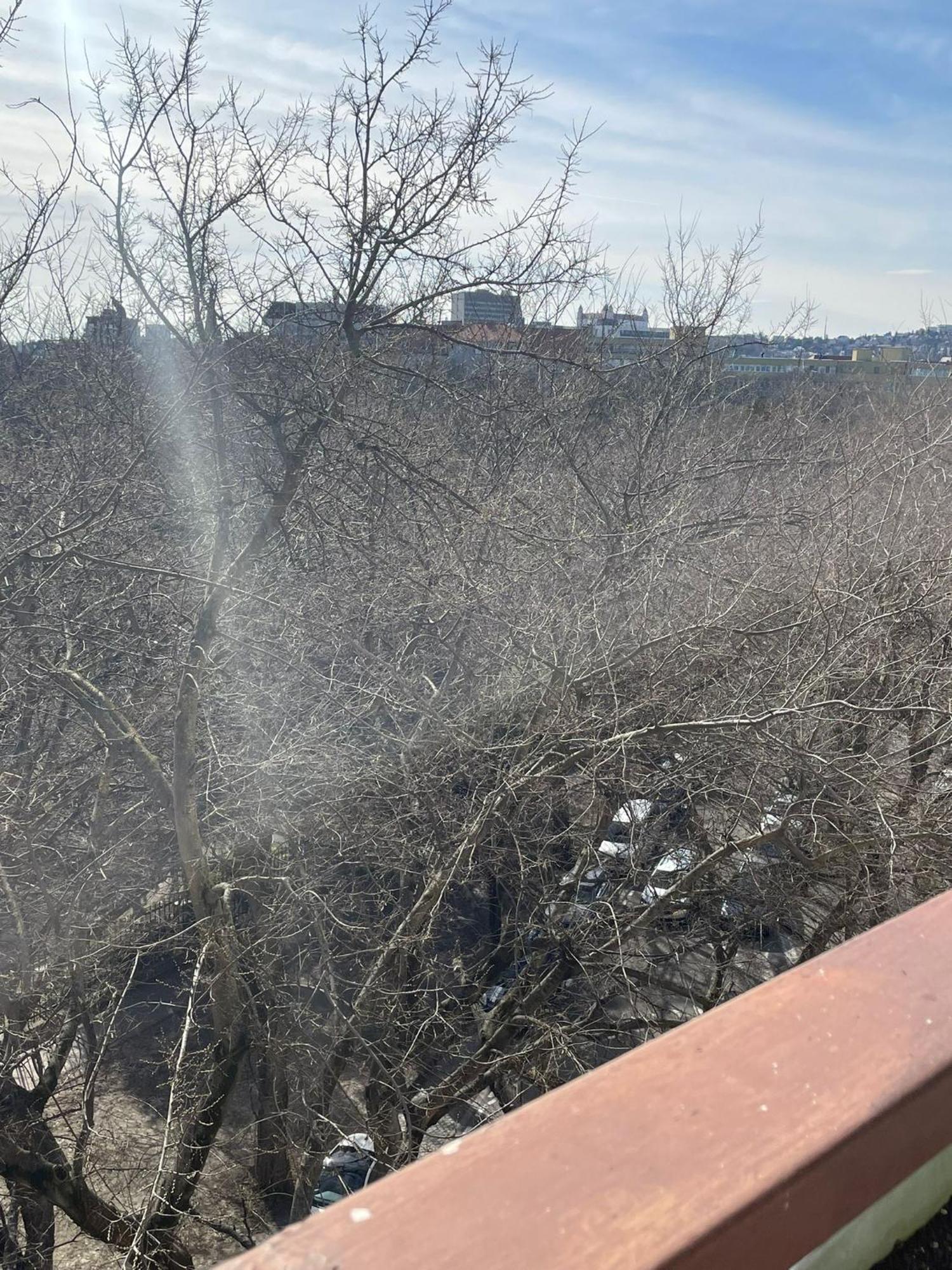 Park View City Center Location Apartment With Balcony Bratislava Dış mekan fotoğraf